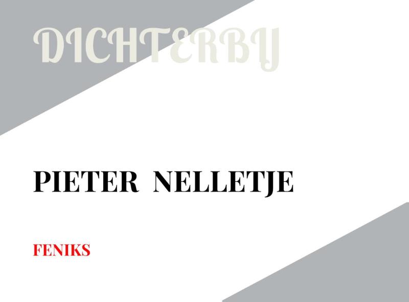 Omslag van DICHTERBIJ