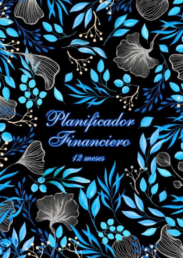 Omslag van Planificador Financiero