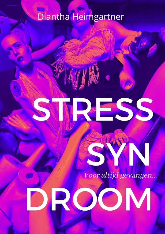 Omslag van Stresssyndroom