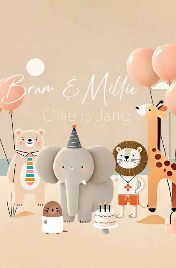 Omslag van Bram en Millie vieren een feestje