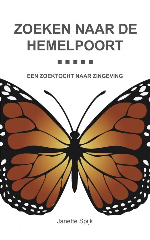 Omslag van Zoeken naar de hemelpoort