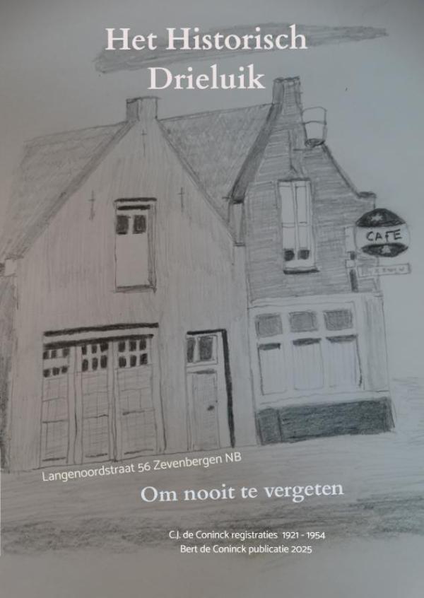Omslag van Het historisch drieluik