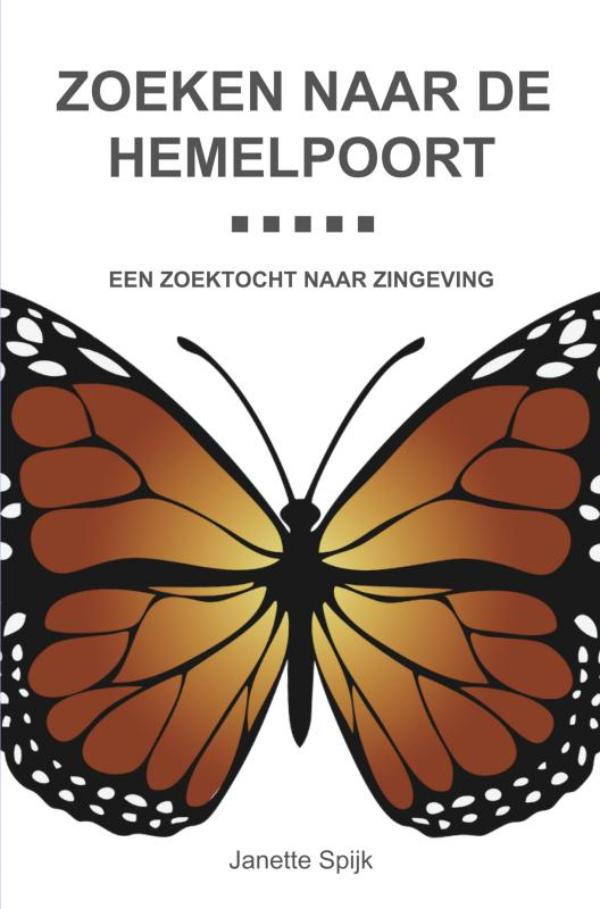 Omslag van Zoeken naar de hemelpoort
