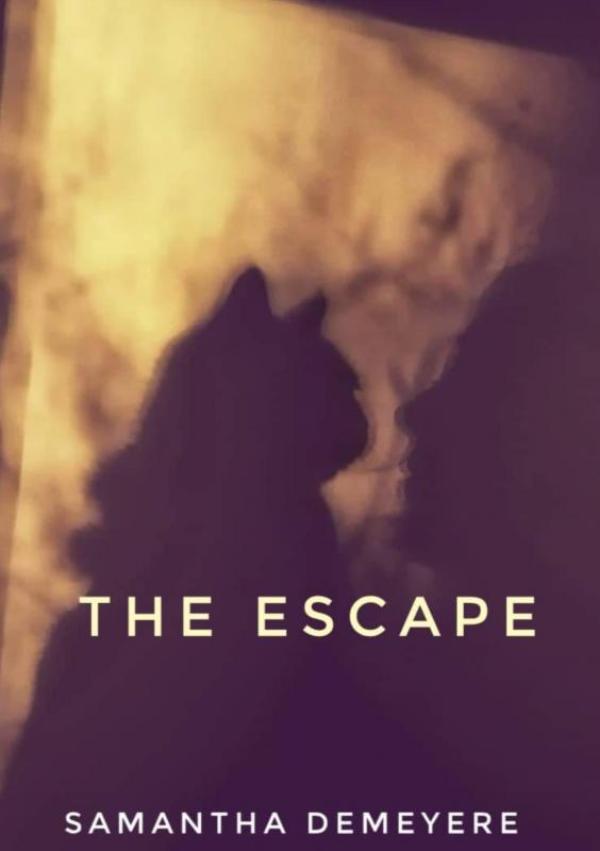 Omslag van The escape