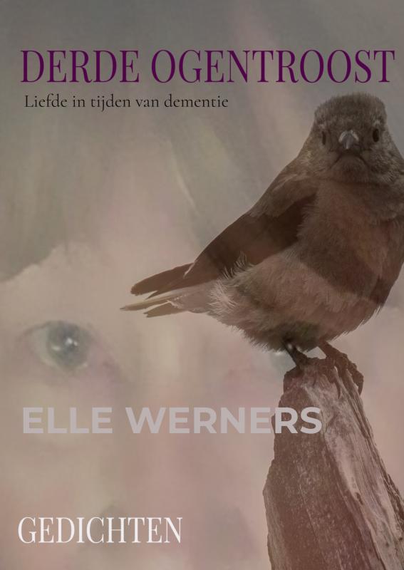 Omslag van DERDE OGENTROOST