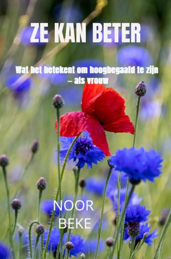 Omslag van Ze kan beter