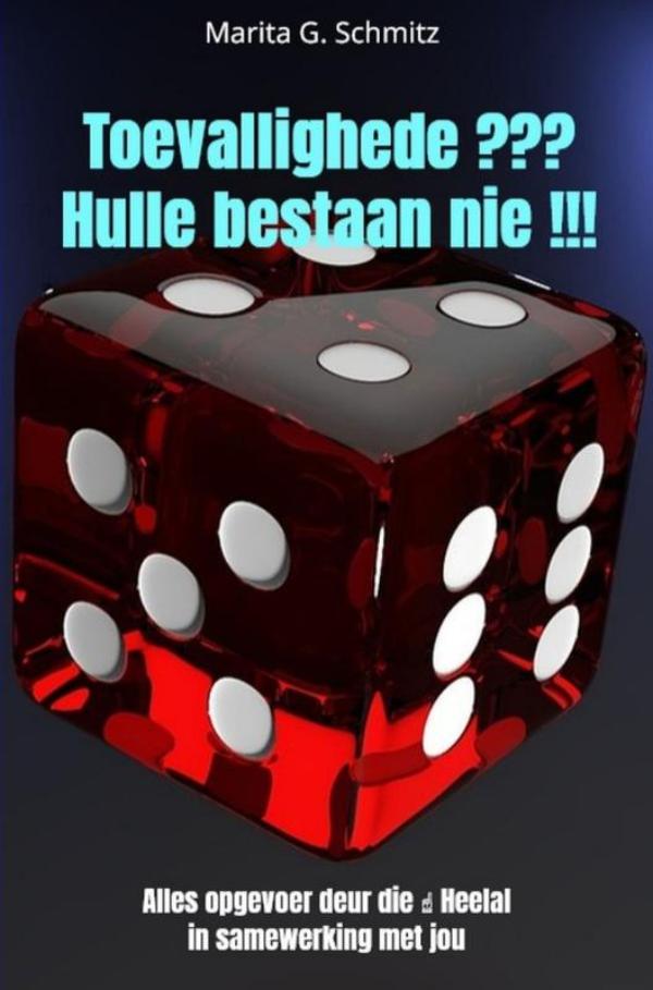 Omslag van Toevallighede ??? Hulle bestaan nie !!!