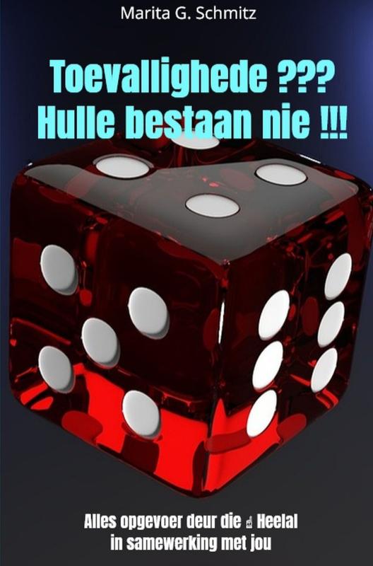 Omslag van Toevallighede ??? Hulle bestaan nie !!!