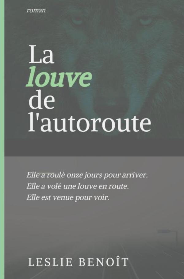 Omslag van LA LOUVE DE L'AUTOROUTE