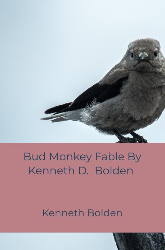 Omslag van Bud Monkey Fable By Kenneth D. Bolden