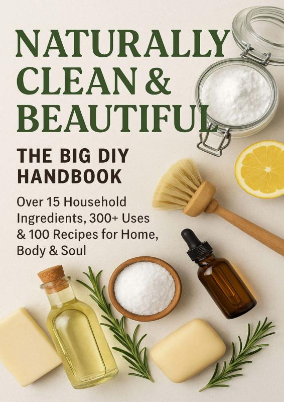 Omslag van NATURALLY CLEAN & BEAUTIFUL : The Big DIY Handbook – Over 15 Household Ingredients, 300+ Uses & 100 Recipes for Home, Body & Soul