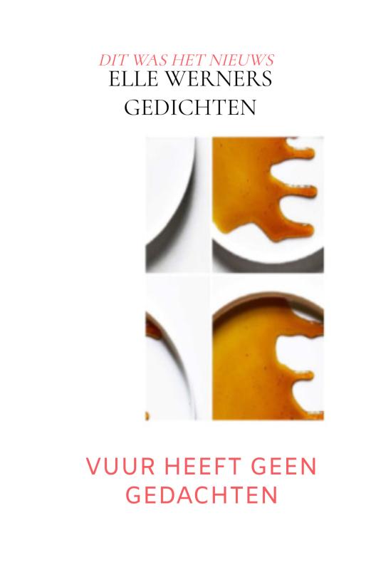 Omslag van VUUR HEEFT GEEN GEDACHTEN