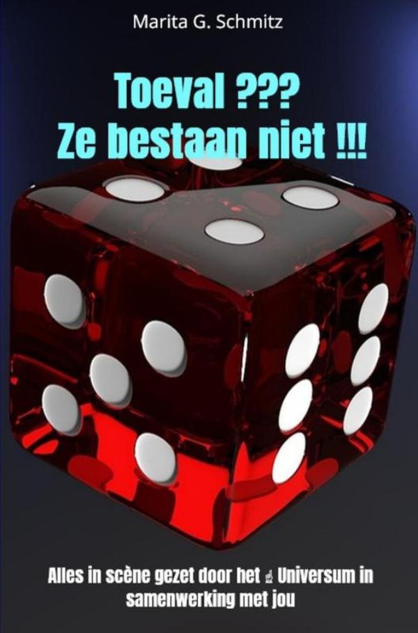 Omslag van Toeval ??? Ze bestaan niet !!!