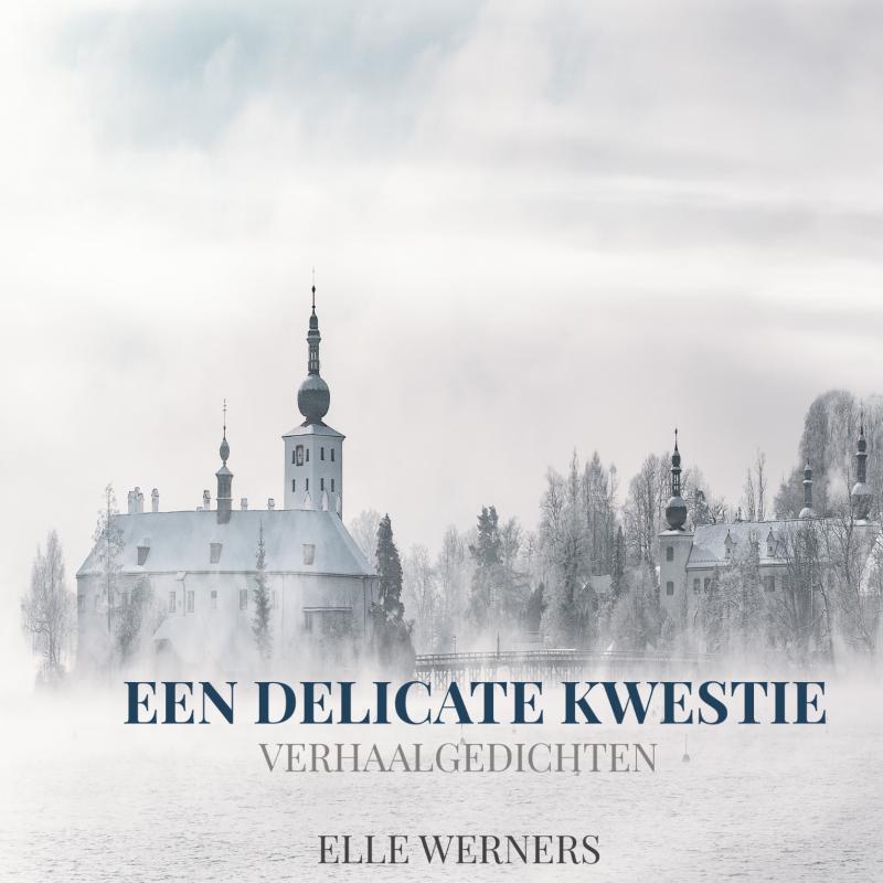 Omslag van EEN DELICATE KWESTIE