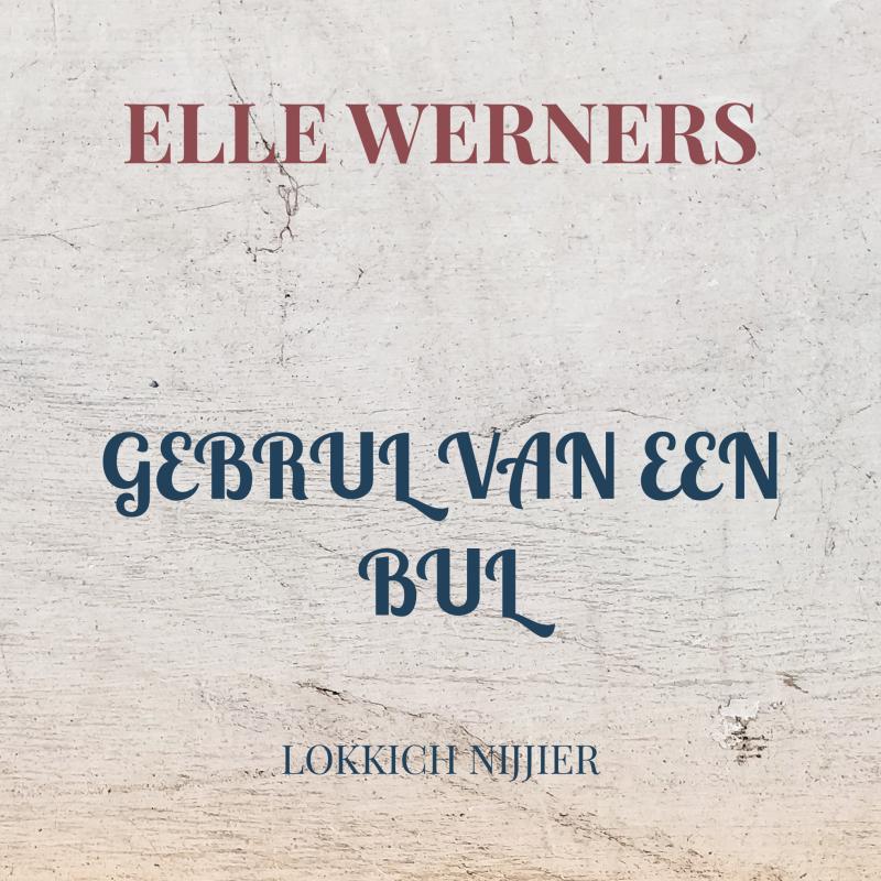 Omslag van GEBRUL VAN EEN BUL