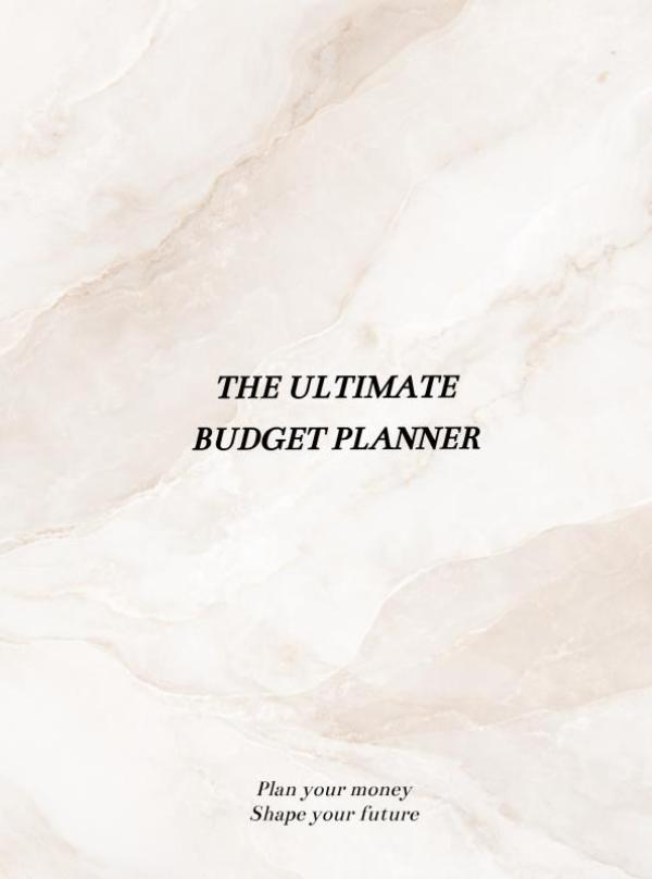 Omslag van 365 Days Budget Planner