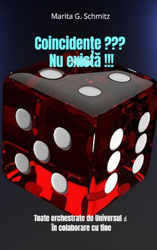 Omslag van Coincidențe ??? Nu există !!!