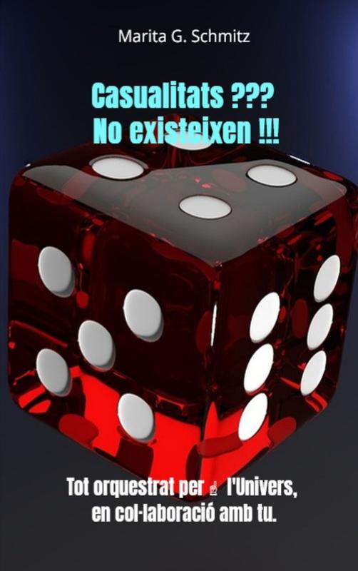 Omslag van Casualitats ??? No existeixen !!!