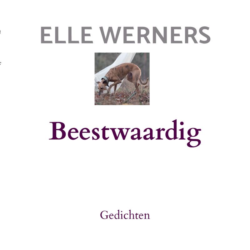 Omslag van Beestwaardig