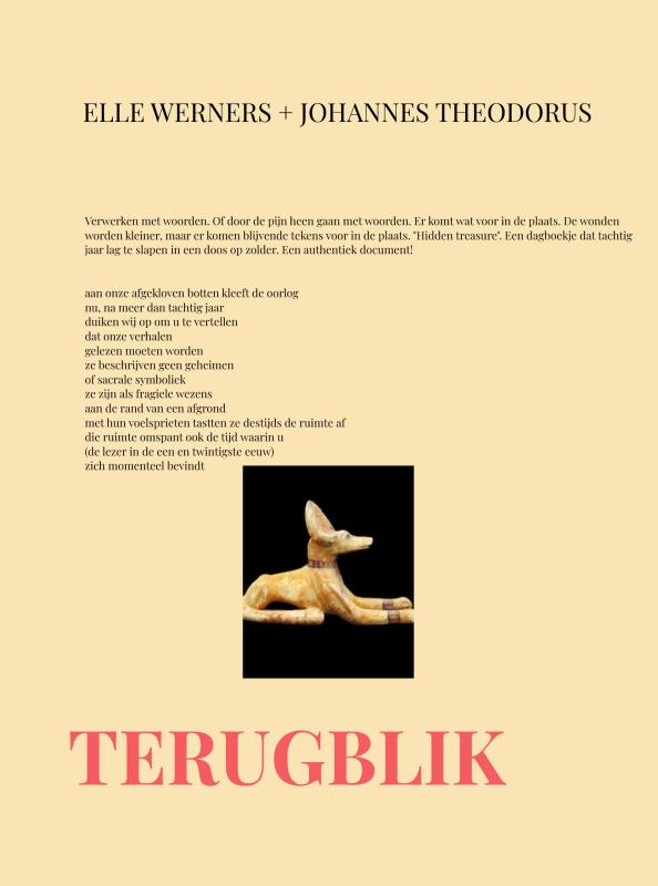 Omslag van TERUGBLIK