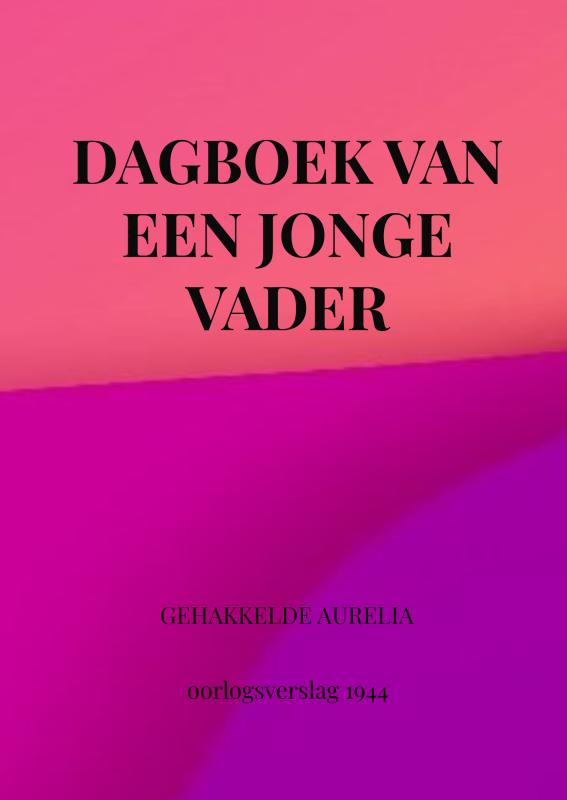 Omslag van DAGBOEK VAN EEN JONGE VADER
