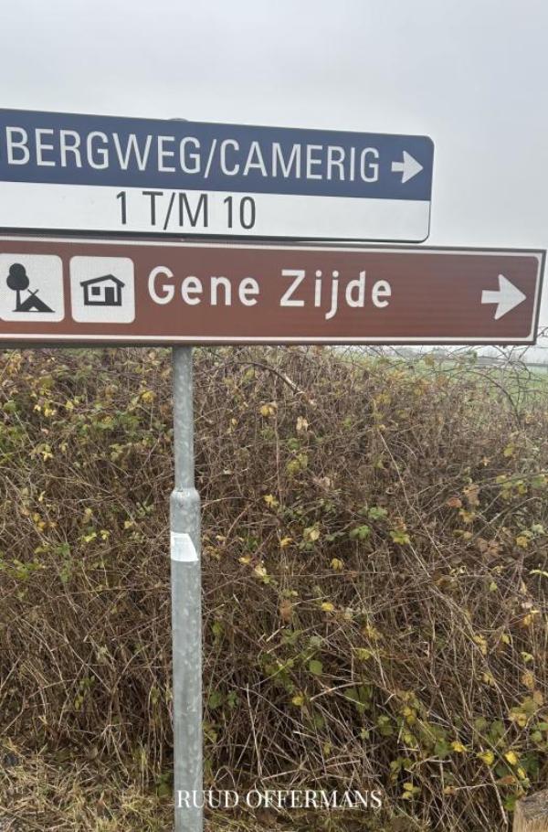 Omslag van Gene zijde