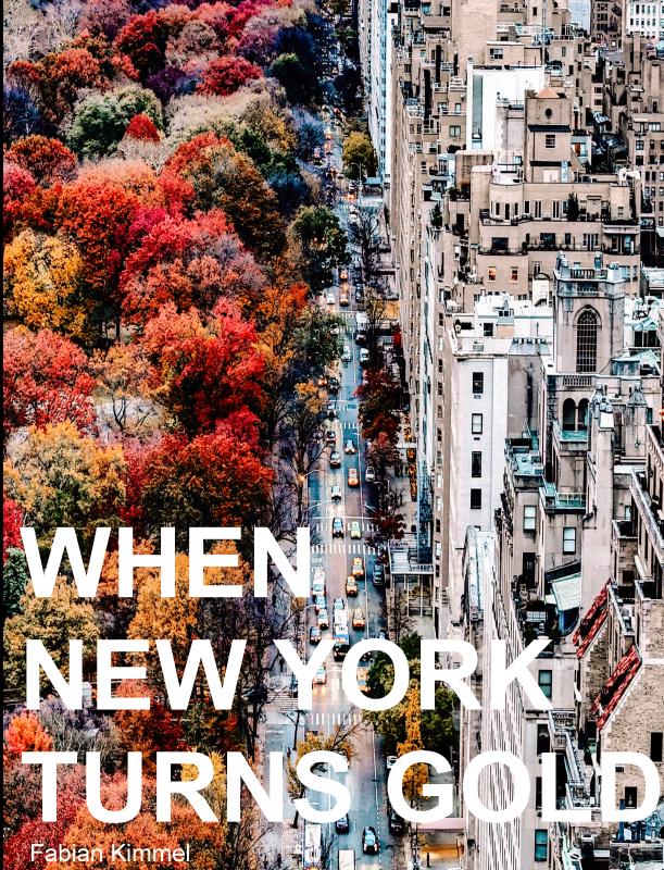 Omslag van When New York Turns Gold