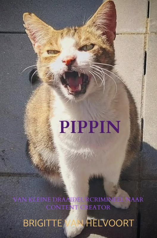 Omslag van Pippin