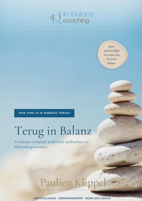 Omslag van Terug in Balanz