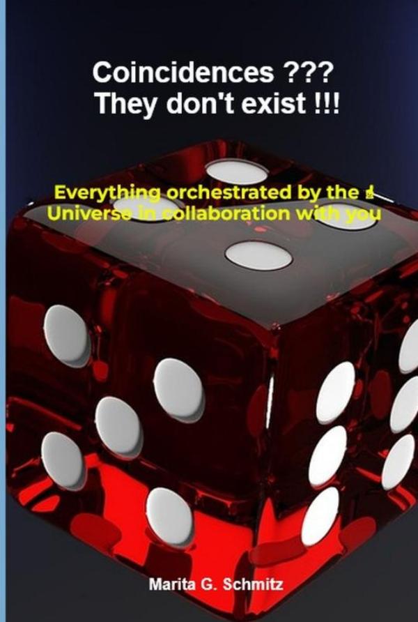 Omslag van Coincidences ??? They don't exist !!!