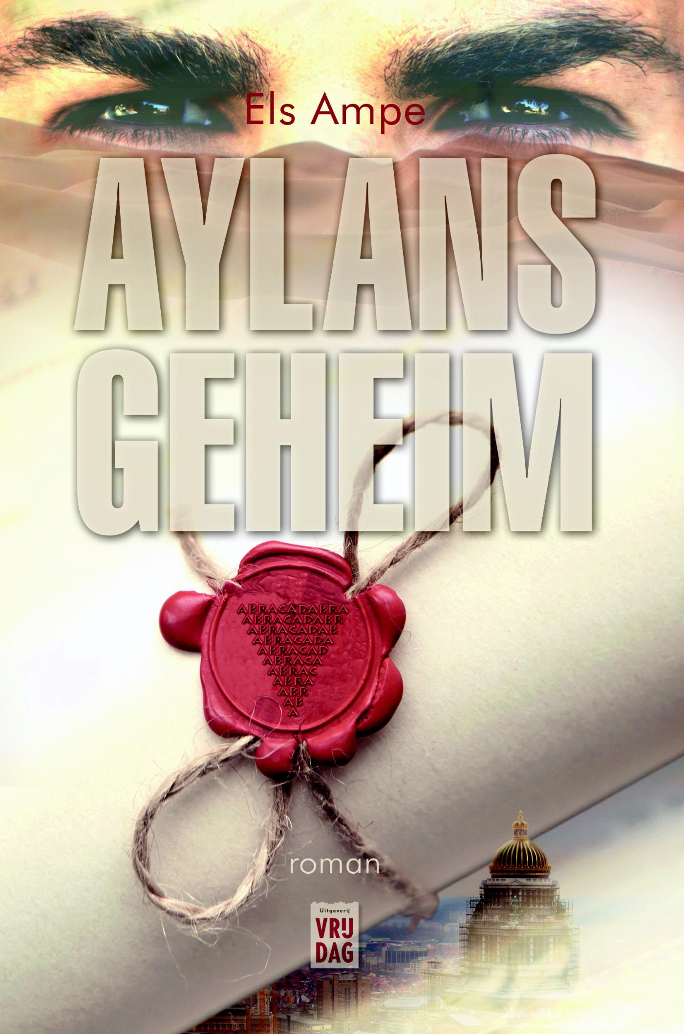 Omslag van Aylans geheim