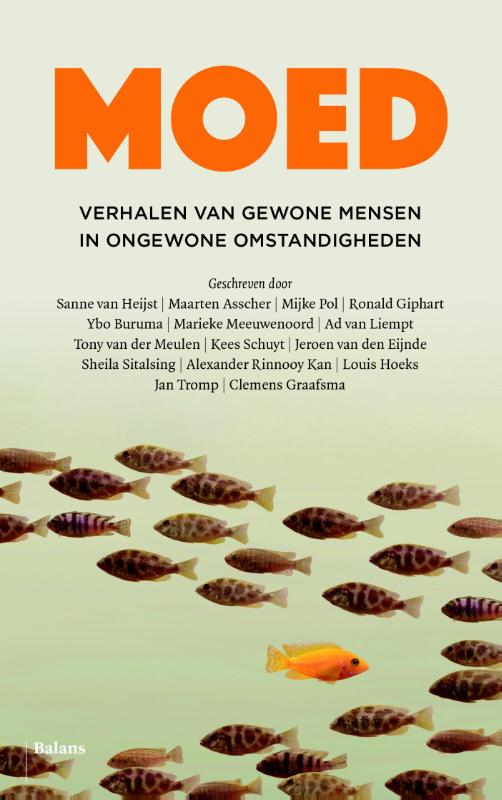 Omslag van Moed