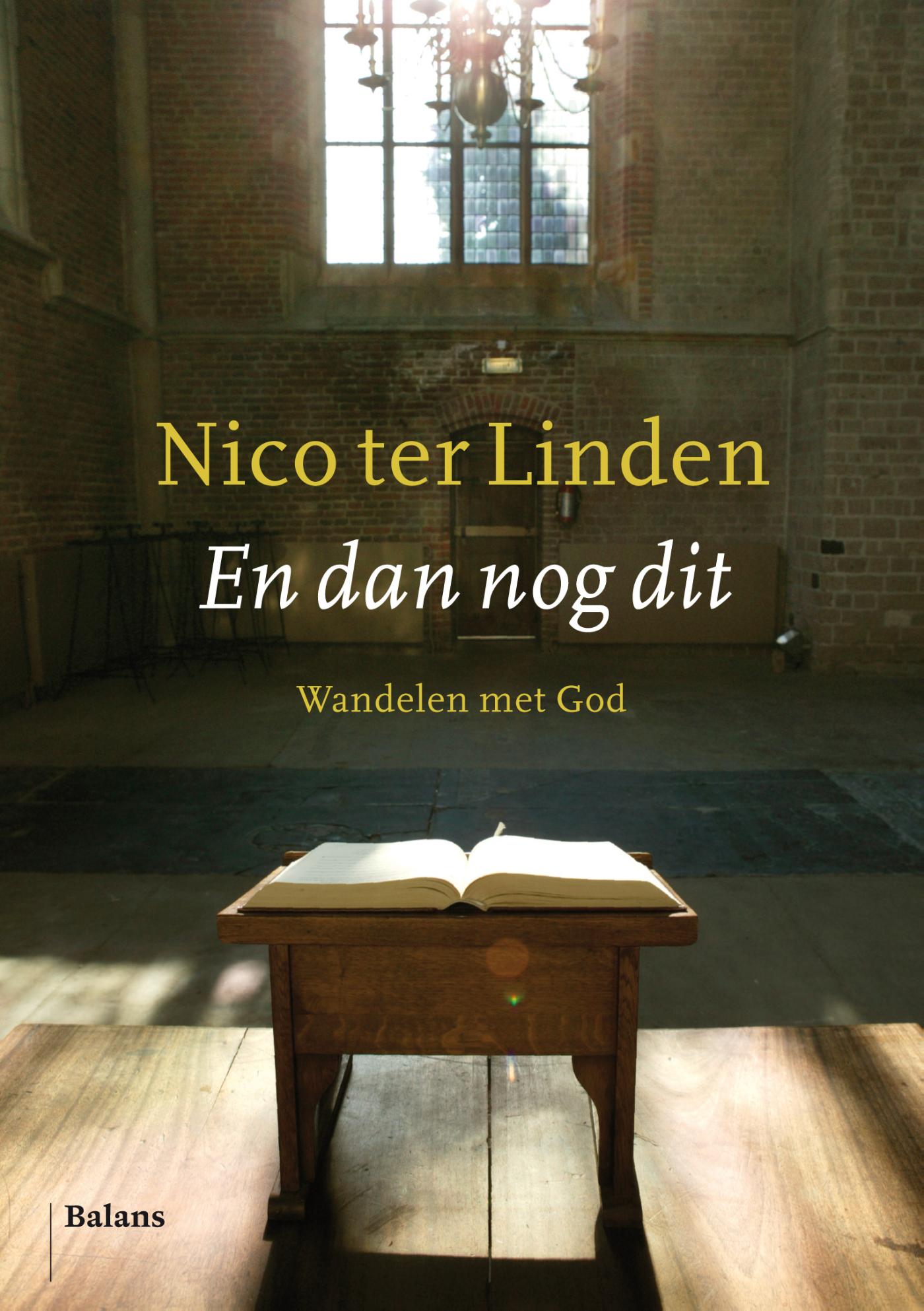 Omslag van En dan nog dit