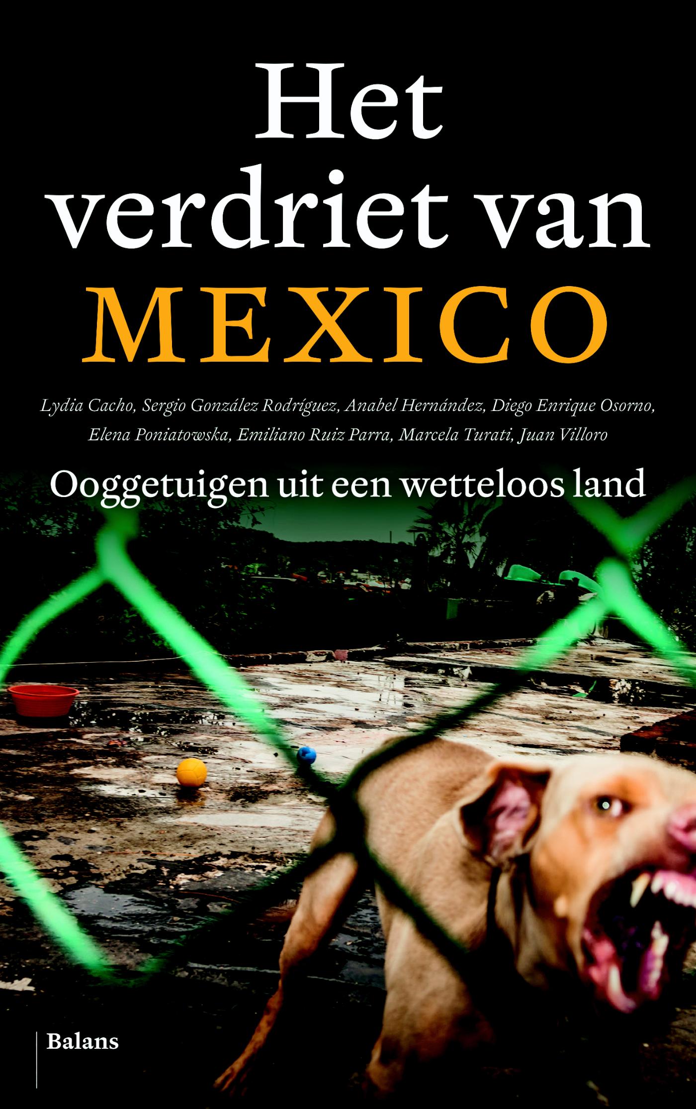 Omslag van Het verdriet van Mexico