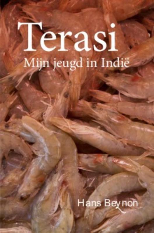Omslag van Terasi