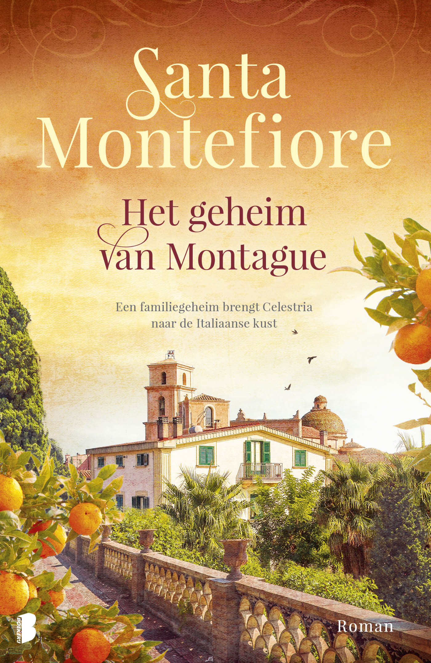 Omslag van Het geheim van Montague