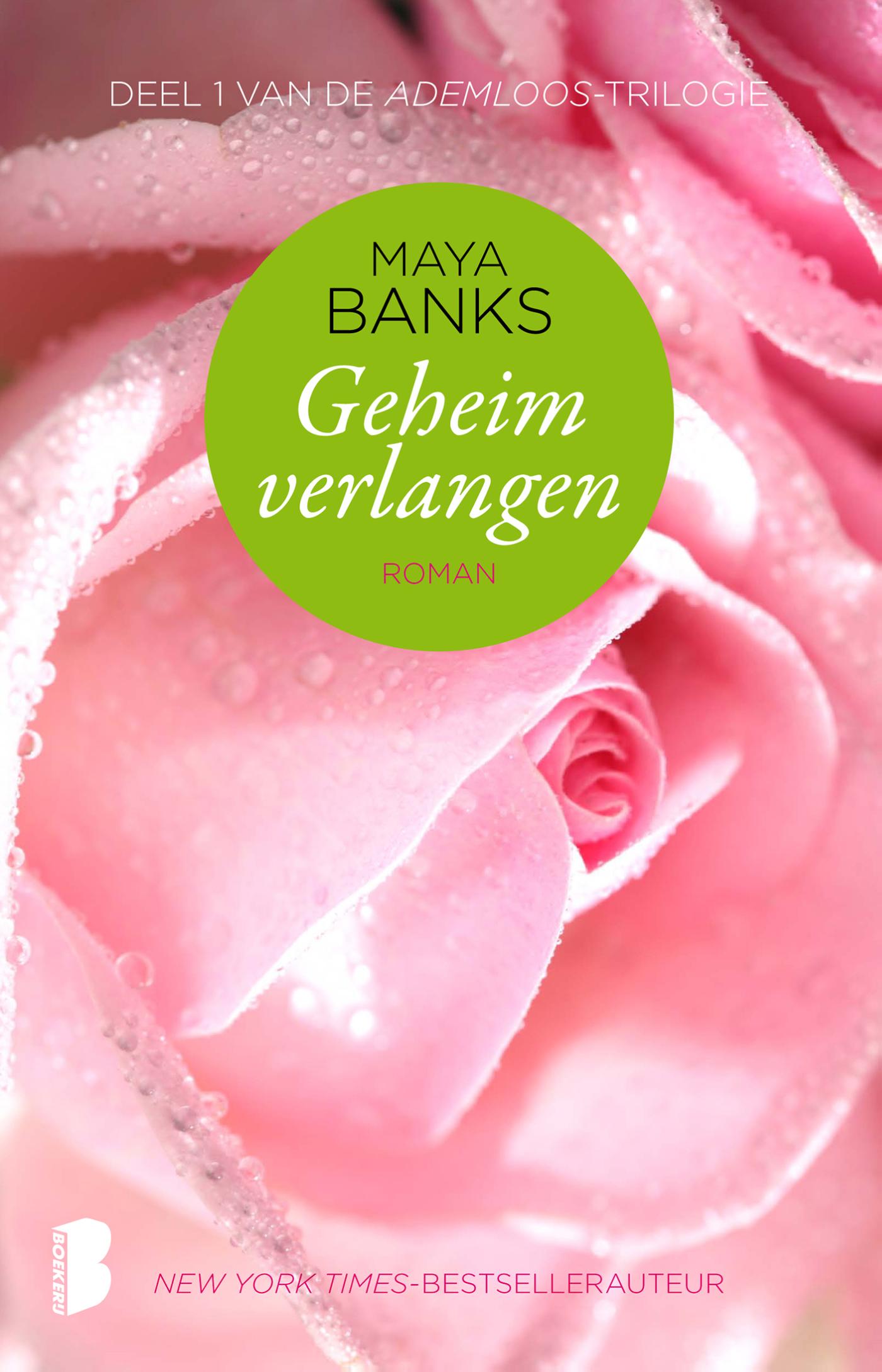Omslag van Geheim verlangen