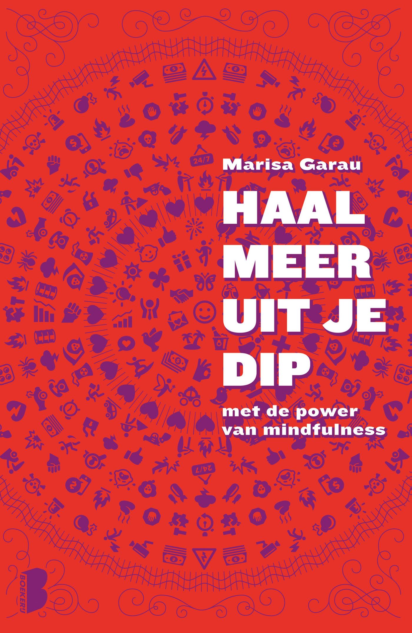 Omslag van Haal meer uit je dip