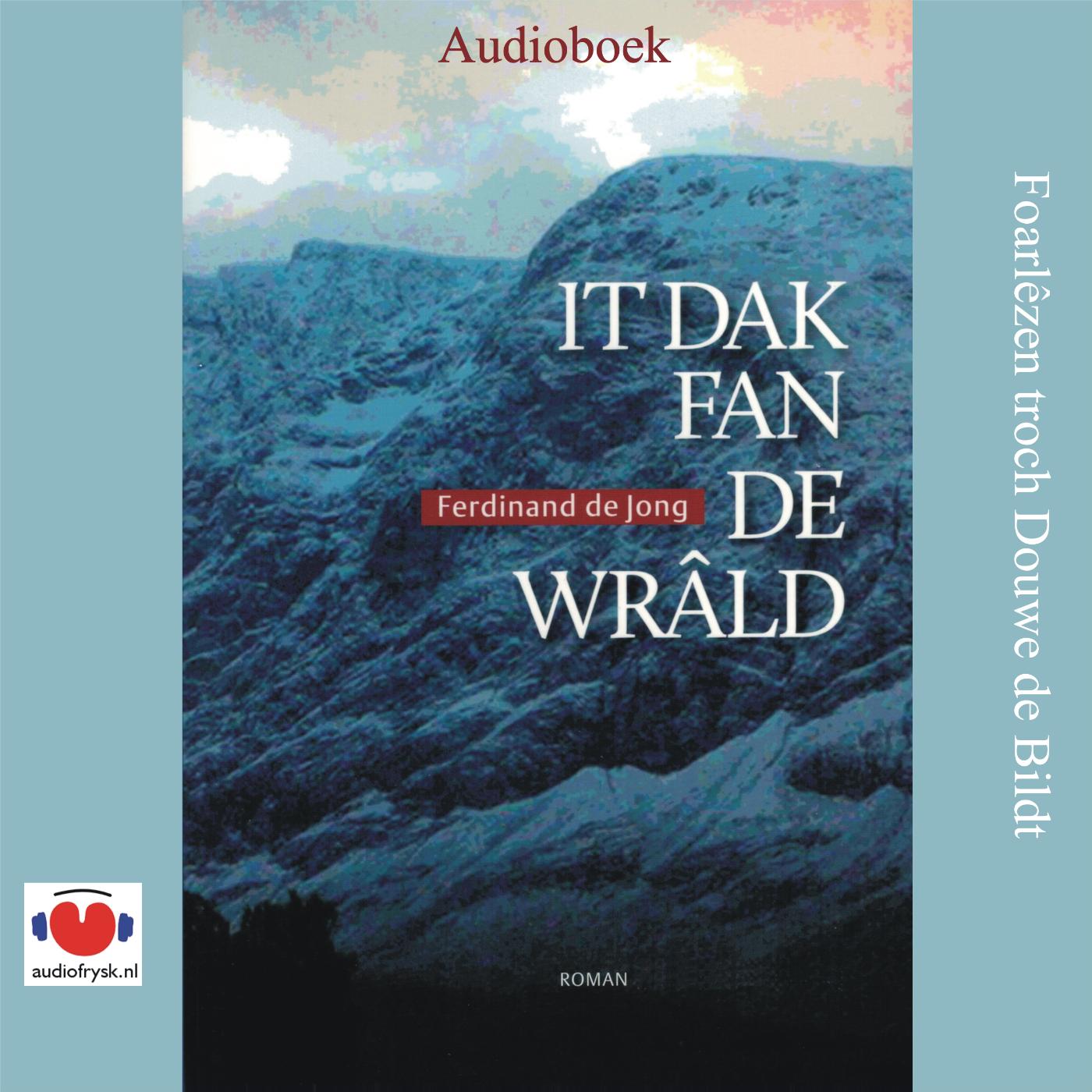 Omslag van It dak fan de wrâld