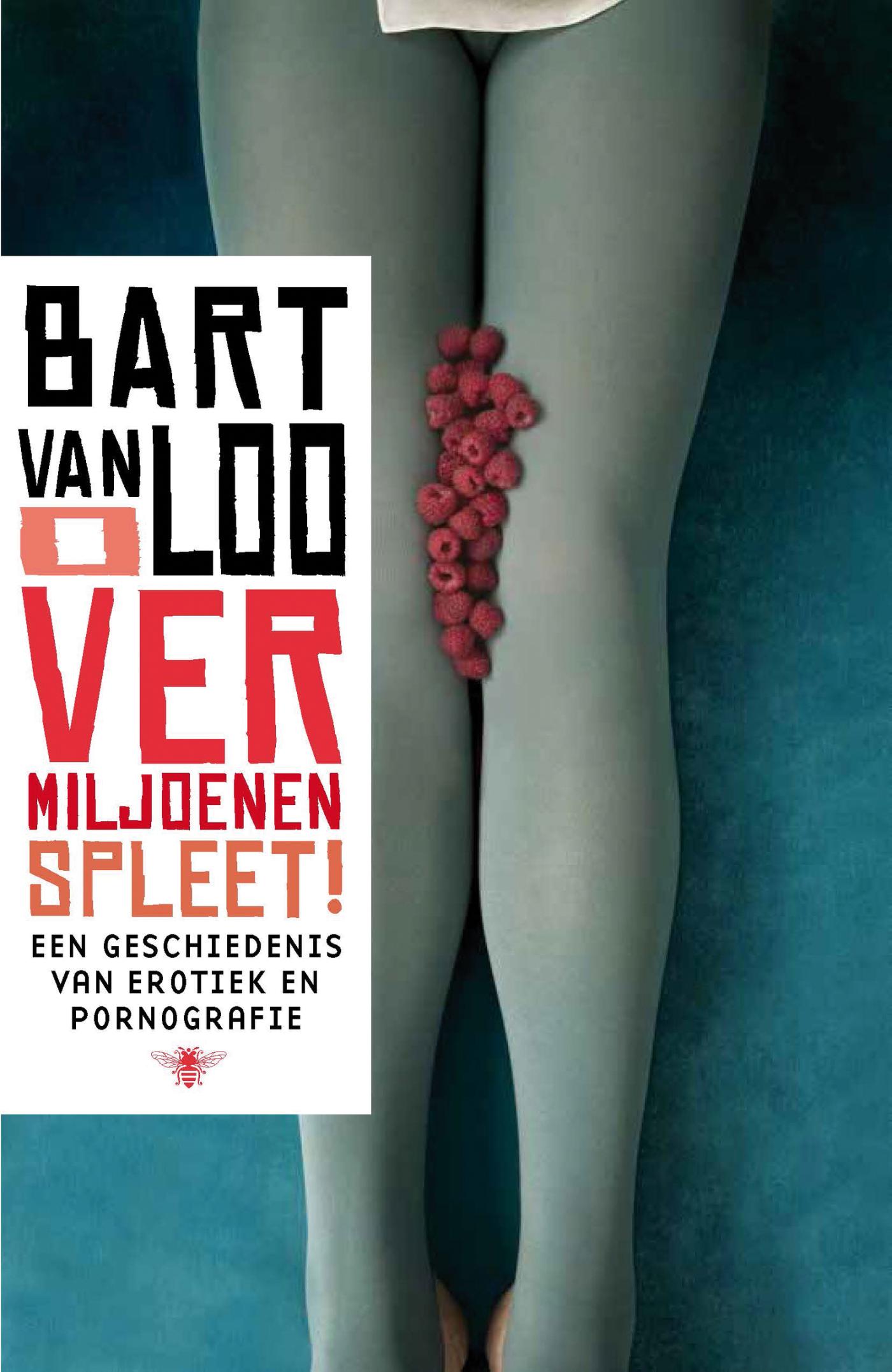 Omslag van O vermiljoenen spleet