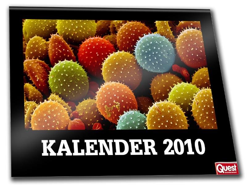 Omslag van Quest kalender klien