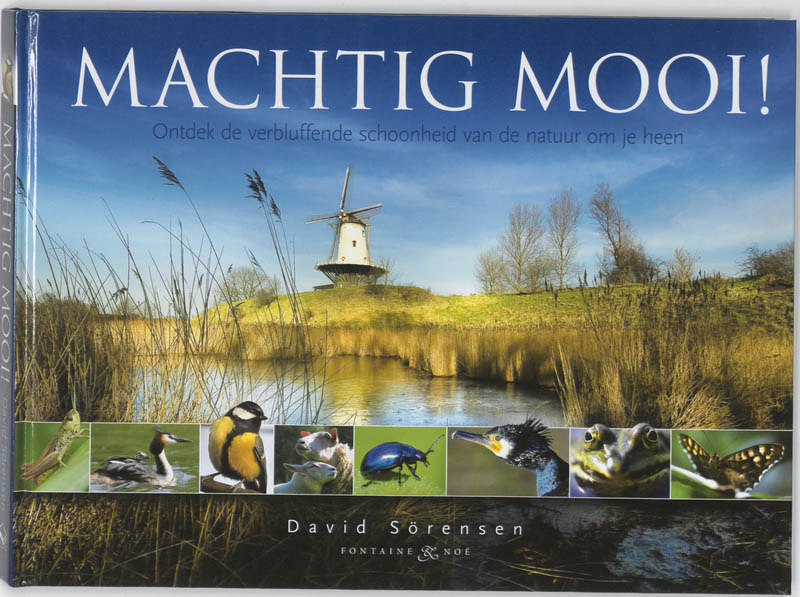 Omslag van Machtig Mooi!