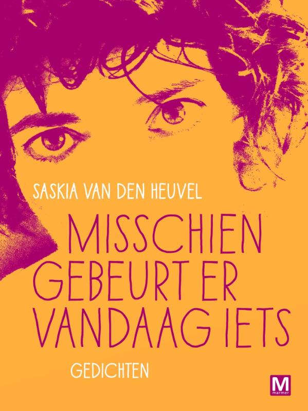 Omslag van Misschien gebeurt er vandaag iets