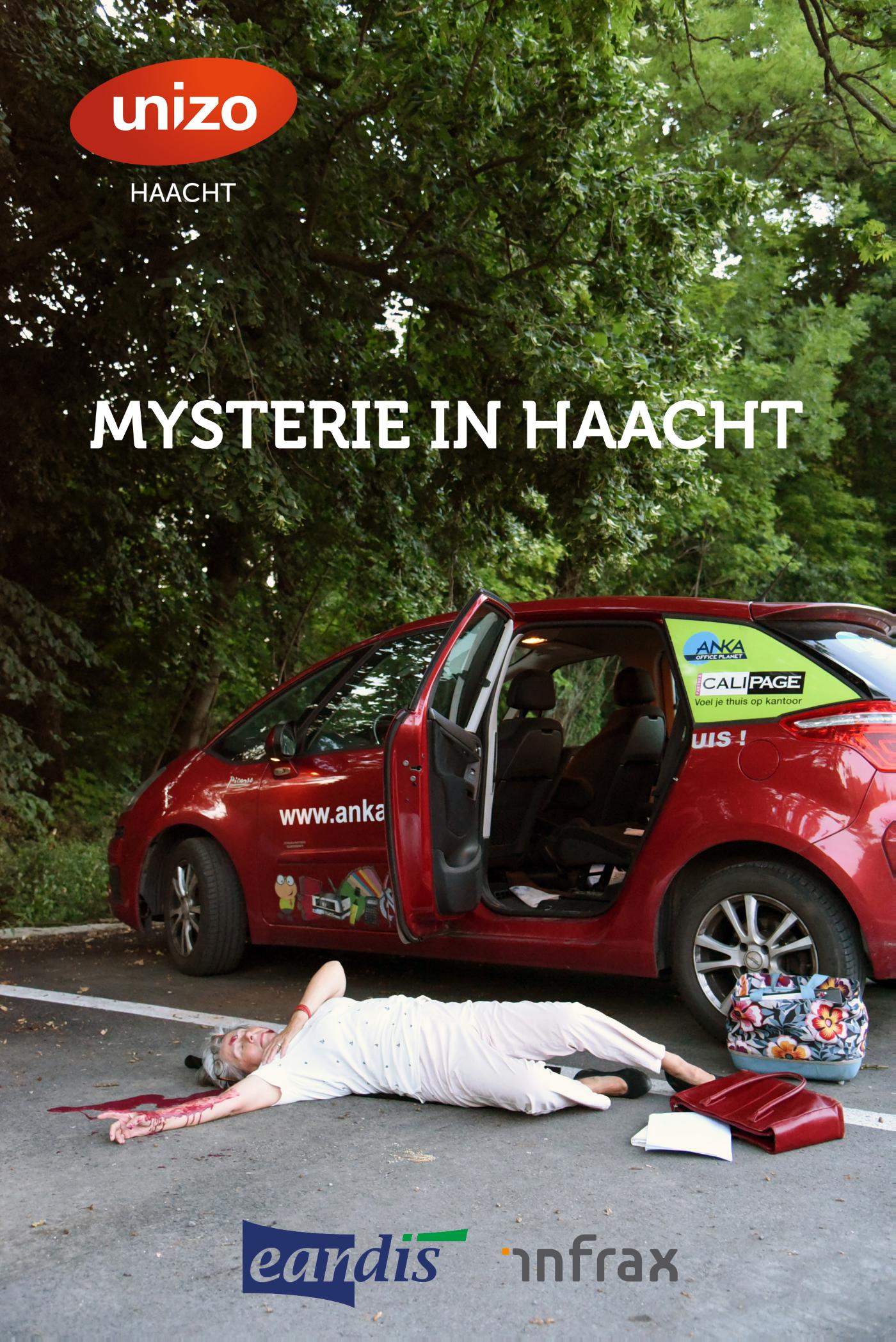 Omslag van Mysterie in Haacht