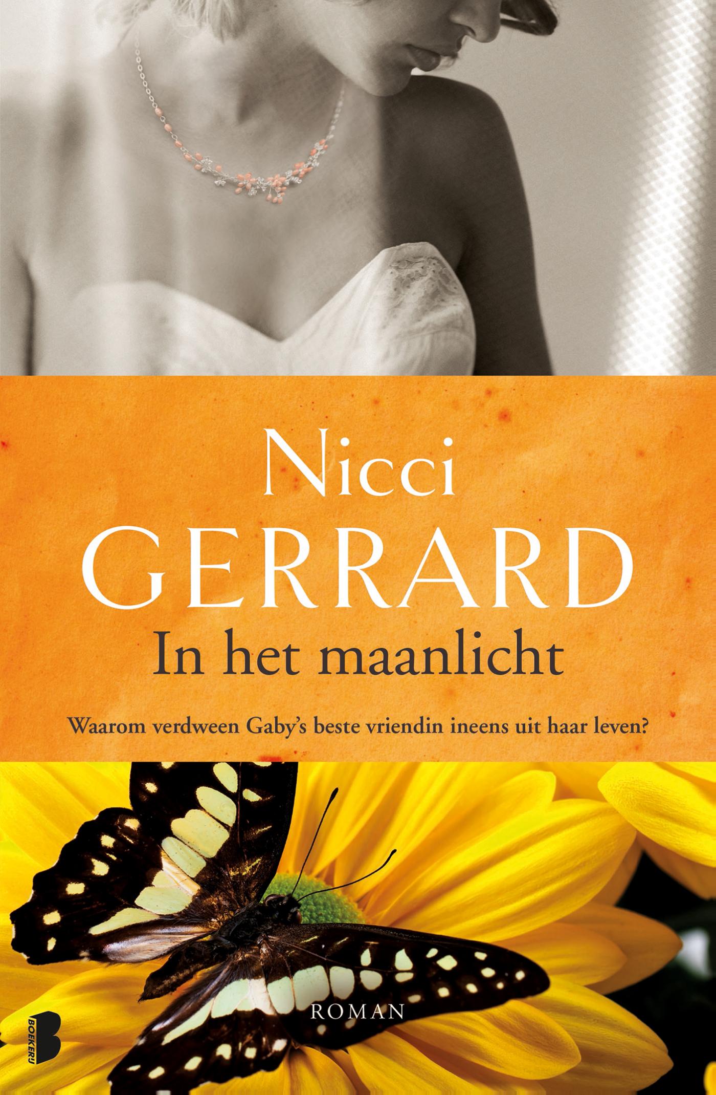 Omslag van In het maanlicht