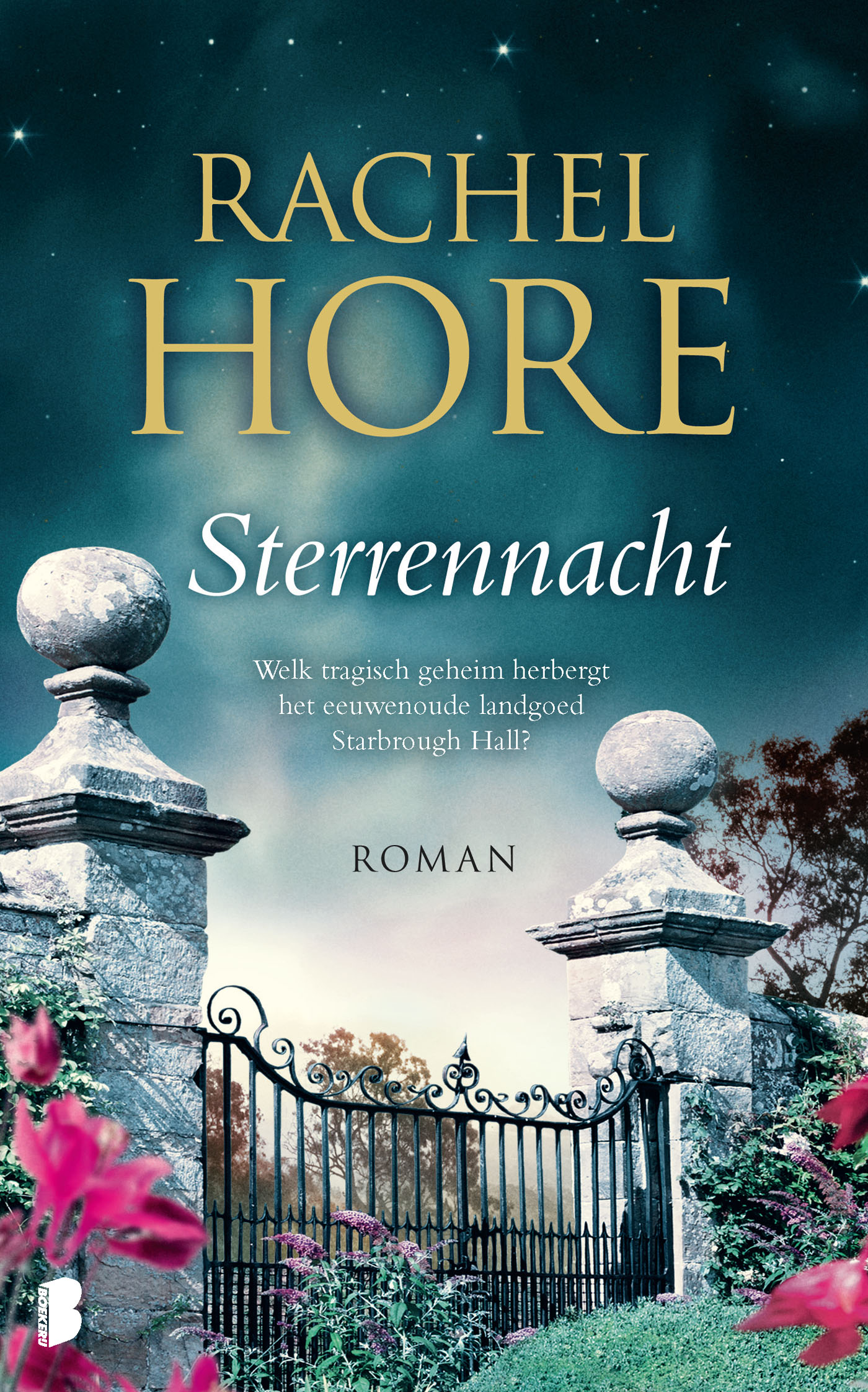 Omslag van Sterrennacht