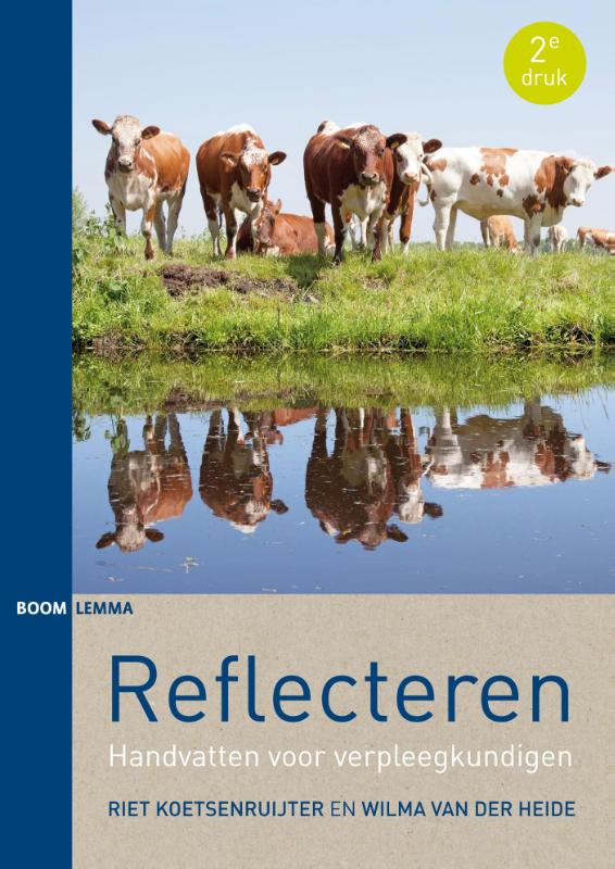 Omslag van Reflecteren