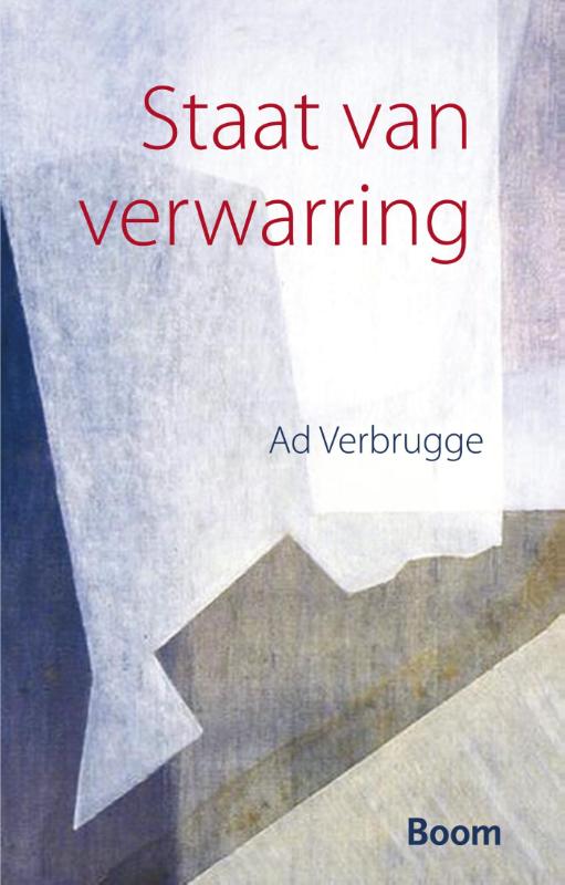 Omslag van Staat van verwarring