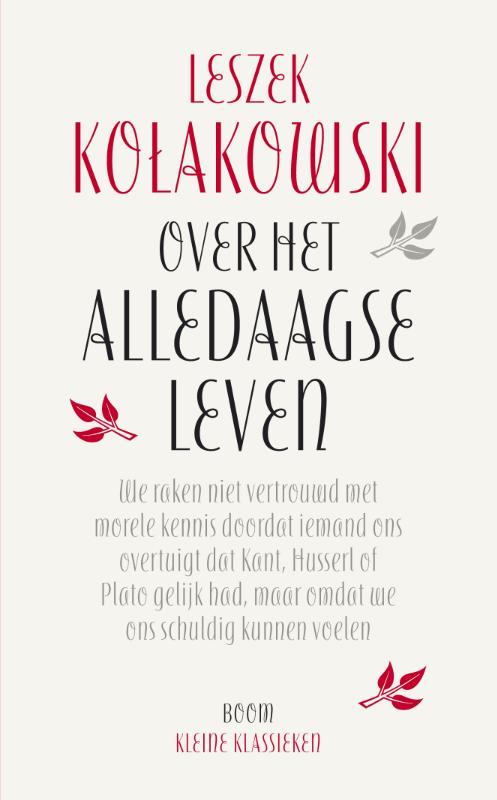 Omslag van Over het alledaagse leven