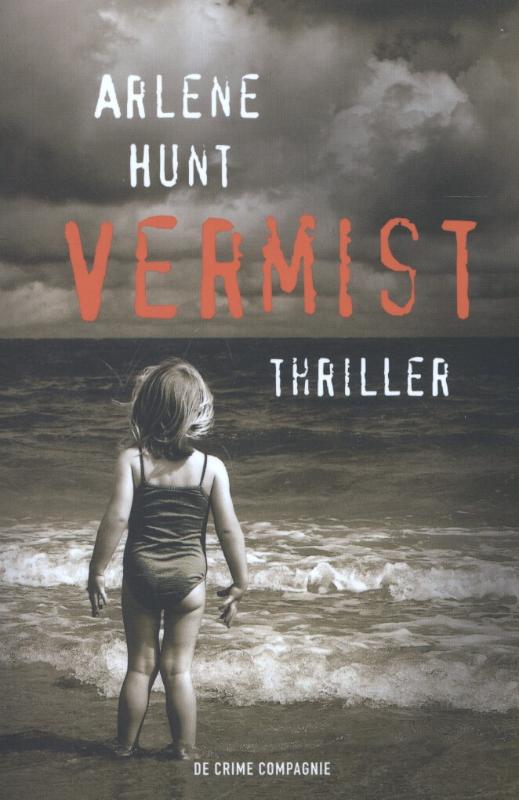 Omslag van Vermist